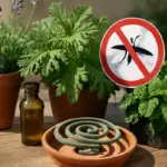 Rimedi naturali contro le zanzare: quali piante scegliere per una difesa davvero efficace?