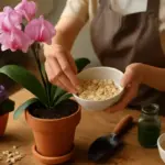 Come favorire la fioritura delle piante d’appartamento? I nutrienti naturali da aggiungere subito