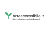 Arteaccessibile.it