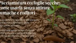 Foglie secche sotto una siepe: perché possono diventare rifugio per piccoli organismi del giardino