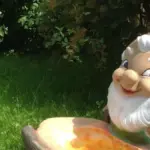 Acqua per gli uccelli in giardino: perché una vaschetta bassa richiede pulizia e posizione attente