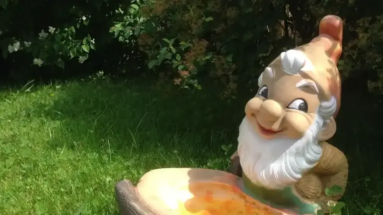 Acqua per gli uccelli in giardino: perché una vaschetta bassa richiede pulizia e posizione attente